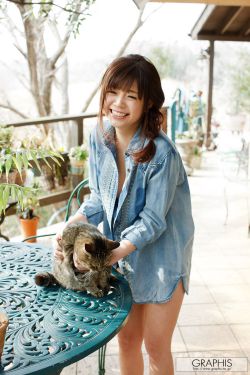 王鹤棣